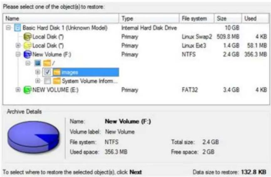 Paragon PSG-161-SEG-PL-NP - Sector Backup Restore - 1