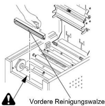 Vordere Reinigungswalze