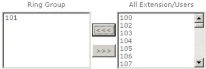 Ring Group 101 << >>> All Extension/Users 100 102 103 104 105 106 107