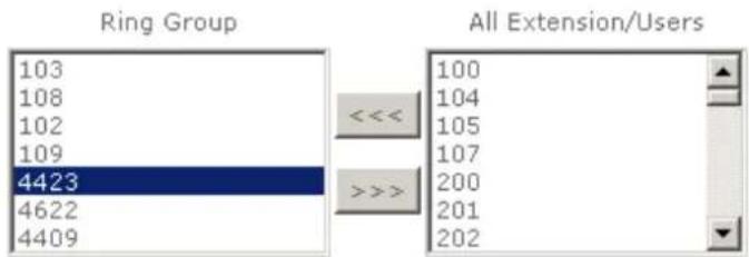 Planet IPX-300 - To delete Ring Group inside extension/users - 1