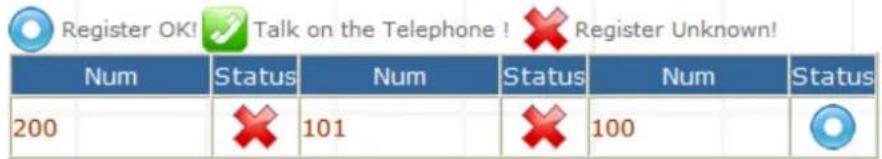 Register OK! ✓ Talk on the Telephone ! ✗ Register Unknown! Num Status Num Status Num Status 200 ✗ 101 ✗ 100