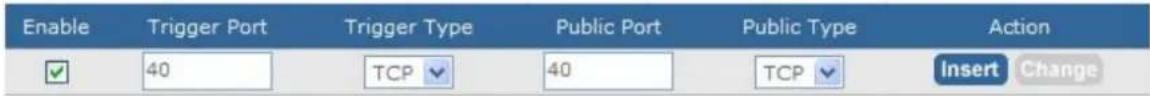 Enable Trigger Port Trigger Type Public Port Public Type Action ✓ 40 TCP 40 TCP Insert Change