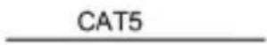 Intronics Ab0006 - ● Network Configuration - 4