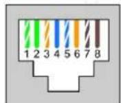 Kentix KMS-LAN - Figure: PIN assignment of the Kentix System-jack - 1