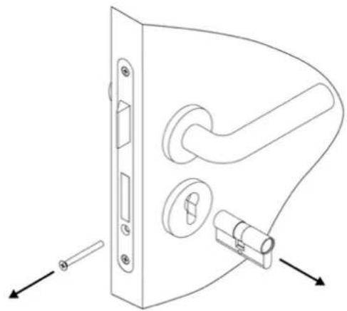 Kentix DoorLock-LE - Online Knauf mit Profilzylinder - 1