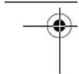Terris PR 263 - Gespräch annehmen - 7