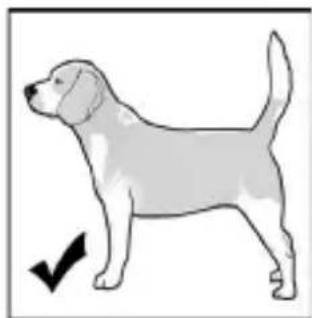 MOTOROLA BARK200U-B - WICHTIG - 1