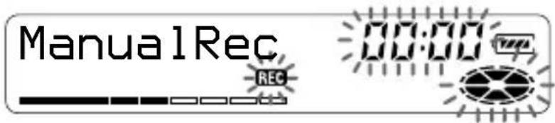 ManualRec REC 00:00