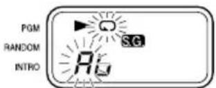 PGM RANDOM INTRO PG SG
