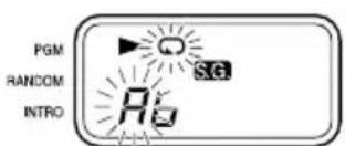 PGM RANDOM INTRO