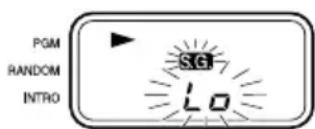 PGM RANDOM INTRO SG LO