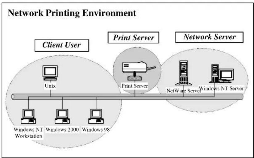 Edimax PS-1206UWg - Network Printing Architecture - 1