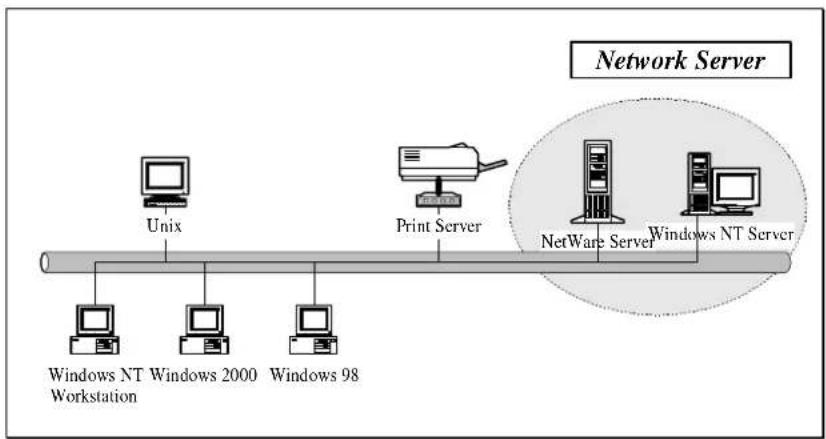 Edimax PS-1206UWg - Network Printing Functions for Network Server - 1