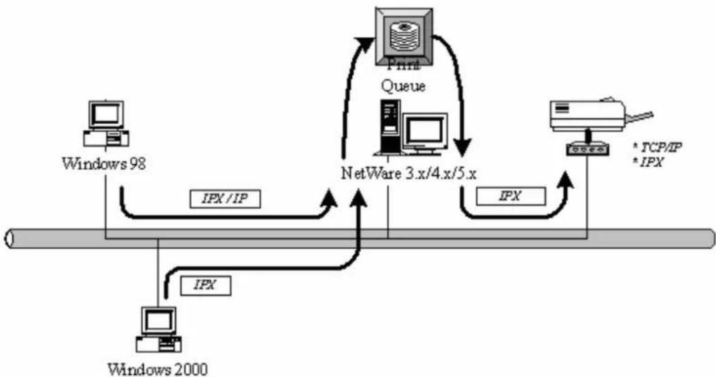 Edimax PS-1206UWg - Network Printing Environment - 3