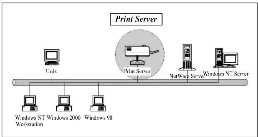 Edimax PS-1206UWg - Print Server Network Functions - 1