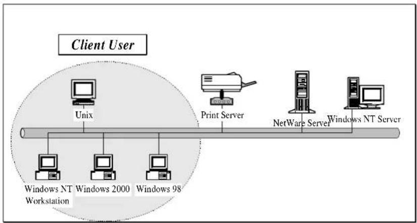 Edimax PS-1206UWg - Print Server Network Functions - 3
