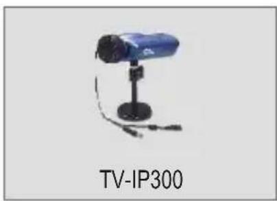 TRENDNET TV-IP300 - Prüfung des Paketinhalts - 1