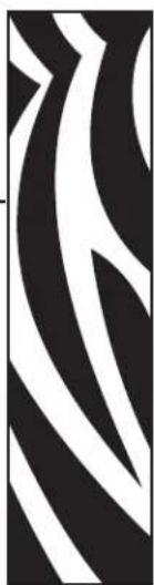 ZEBRA 103939 - Fehlerbehebung - 1