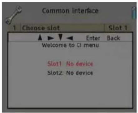 Fte maximal TSQ 310 CI - Common Interface - 2