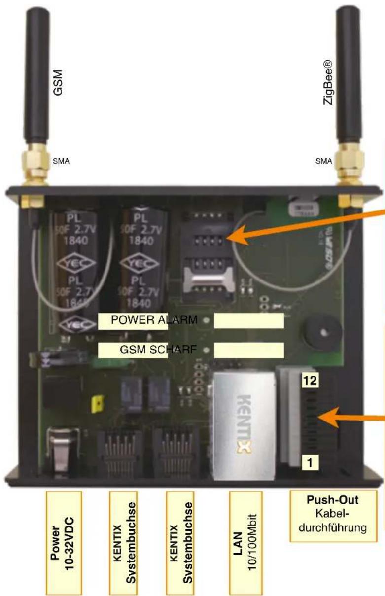 Kentix KMS-LAN-RF-B - Anschlüsse AlarmManager-BASIC / -PRO - 1