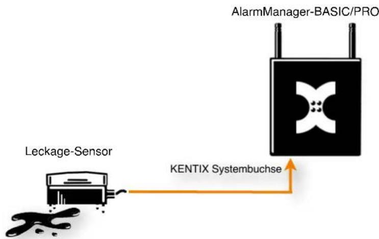 Kentix KMS-LAN-RF-B - WICHTIG! - 1