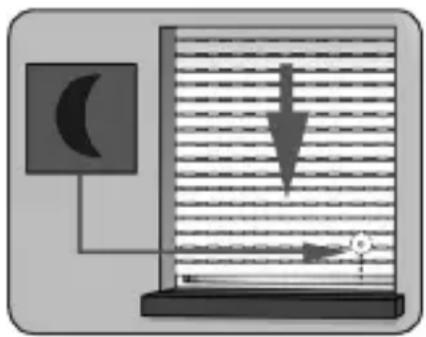 RADEMACHER 5665-AL - Abenddämmerungsautomatik mit angeschlossenem Lichtsensor - 1