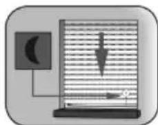 RADEMACHER 5665-UW - Abenddämmerungsautomatik mit angeschlossenem Lichtsensor - 1