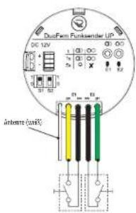 RADEMACHER DuoFern Funksender UP 9497 - Anschluss von zwei Tastern oder Schaltern - 1
