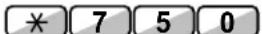PANASONIC KX-NS1000 - SYSTEL/TEL/MT/SIP-Nst. - 2