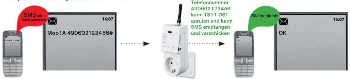 Elektrobock TS 11 GST - 6) Anruf auf 2 Telefonnummern bei der Veränderung des Zustandes vom Eingangskontakt. - 2