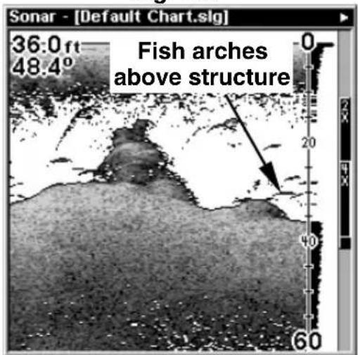 LOWRANCE LMS-320DF - Fish I.D. ^TM (Fish Symbols & Depths) - 5