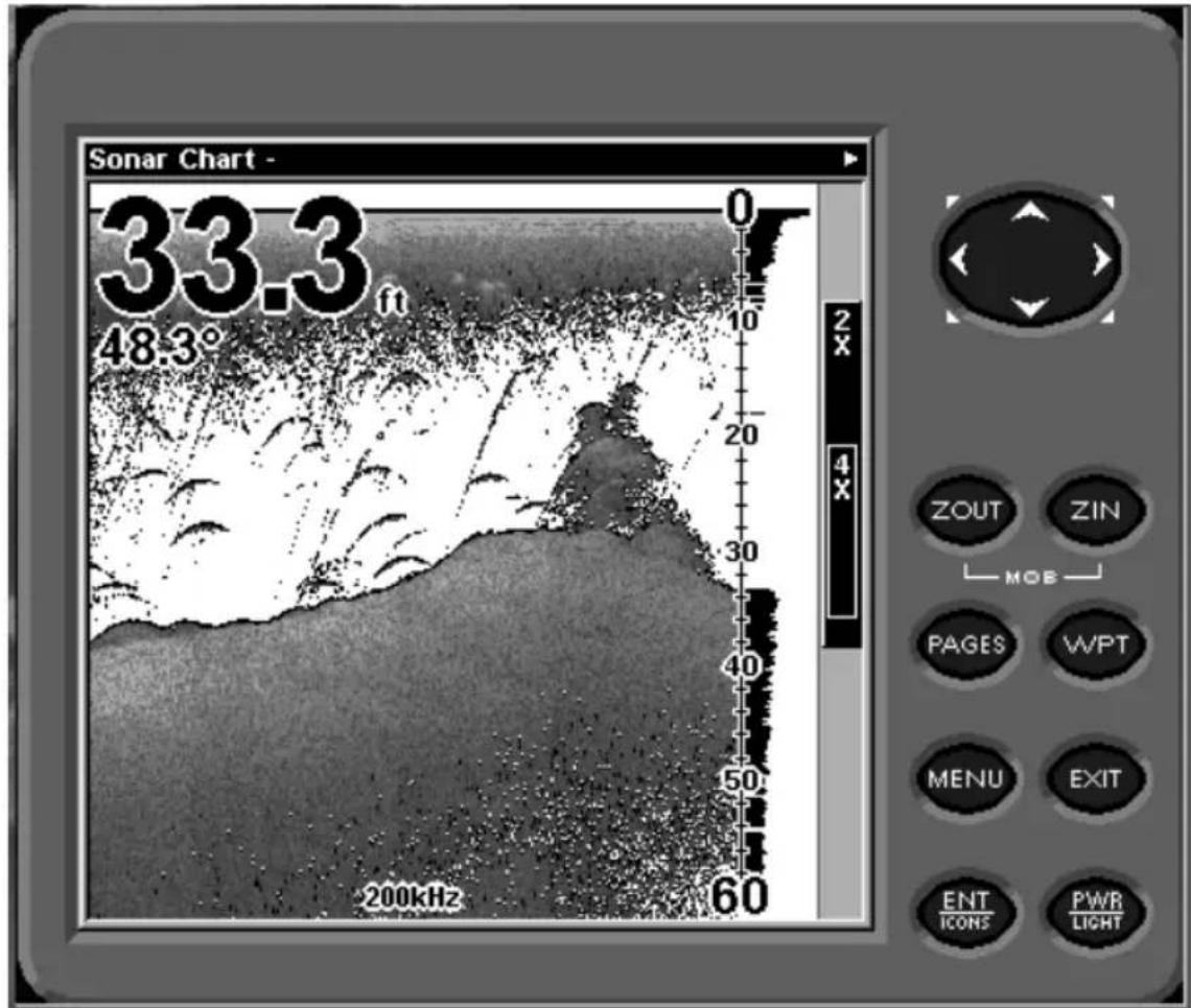 LOWRANCE LMS-320DF - Other Free Training Aids - 1