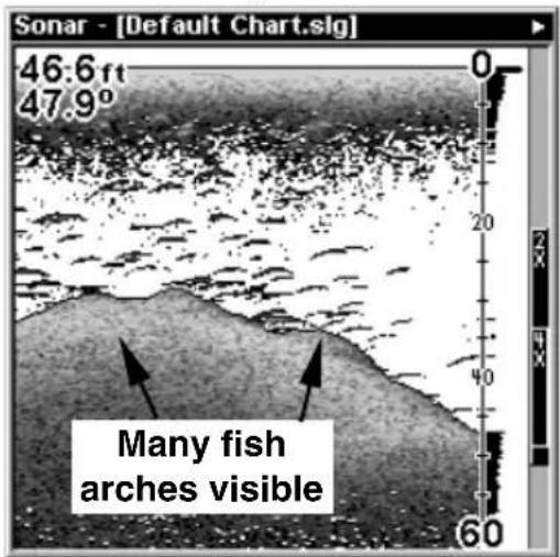LOWRANCE LMS-320DF - Fish I.D. ^TM (Fish Symbols & Depths) - 3
