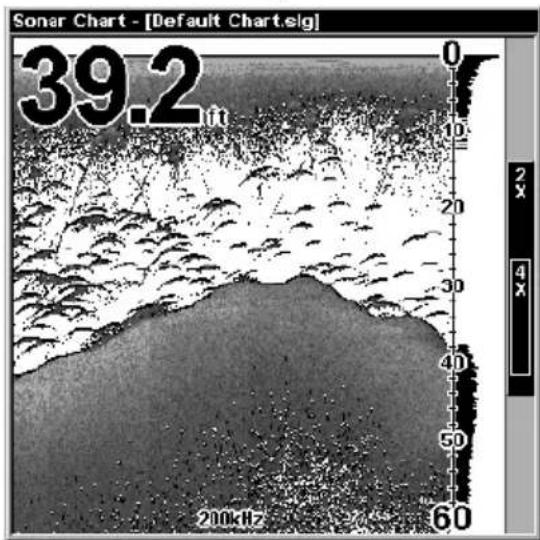 LOWRANCE LMS-320DF - Sonar Operations - 1