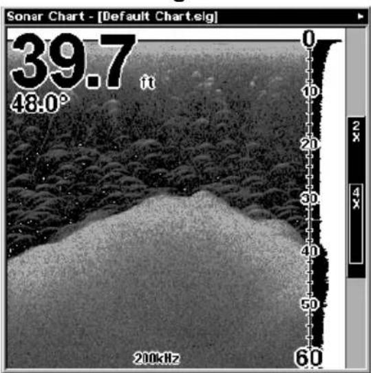 LOWRANCE LMS-320DF - Sonar Operations - 4