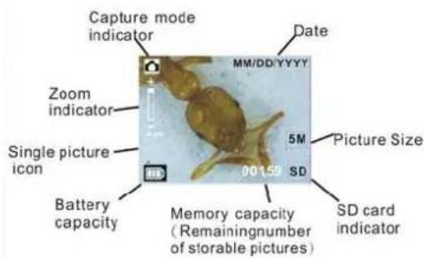 EASYPIX DigiScope - Display Information - 1
