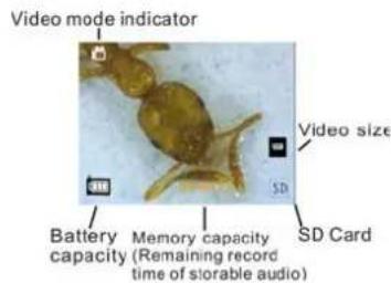EASYPIX DigiScope - Display Information - 2