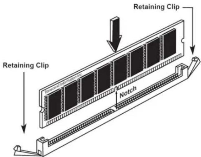 Silicon Power SP016GBLFU240B02 - Note: - 1