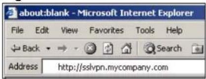 about:blank - Microsoft Internet Explorer File Edit View Favorites Tools Help Back → Search Address http://sslvpn.mycompany.com