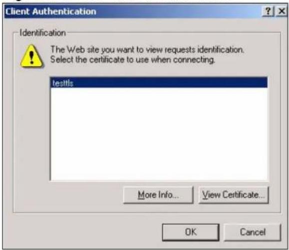 Client Authentication Identification The Web site you want to view requests identification. Select the certificate to use when connecting. testtls More Info... View Certificate... OK Cancel