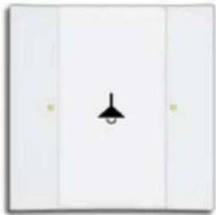 Busch-Jaeger 2CKA006134A0247 - Bedienelemente - 1