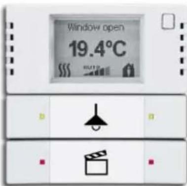 Busch-Jaeger 2CKA006134A0247 - Raumtemperaturregler - 2