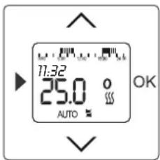 Busch-Jaeger 2CKA001032A0509 - Bedienung des abgezogenen Bedienelements - 1