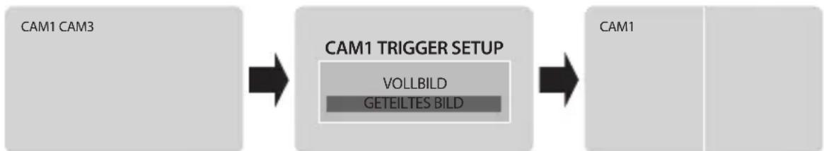 Camos CWM-700 - Ändern der Bilddarstellung, wenn die Stand-By Leitung verwendet wird - 2
