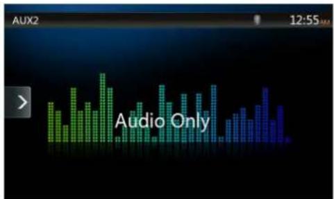 AUX2 12:55 Audio Only