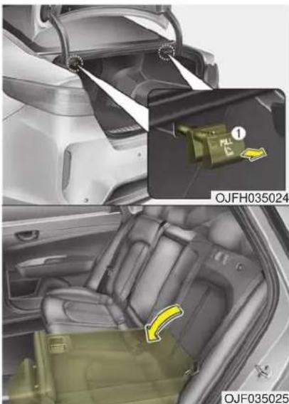 KIA Optima PHEV (2017) - WARNING - Objects - 1