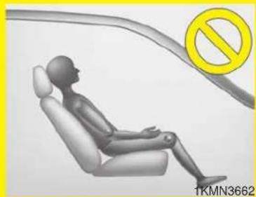 KIA Optima PHEV (2017) - WARNING - Driver responsibility for passengers - 1