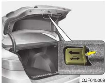 KIA Optima PHEV (2017) - Emergency trunk safety release - 1