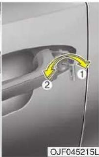 KIA Optima PHEV (2017) - Operating door locks from outside the vehicle - 2