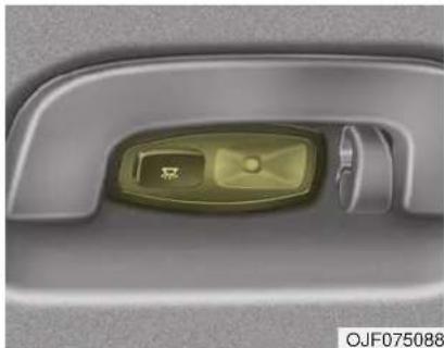 KIA Optima PHEV (2017) - Personal lamp bulb replacement - 1